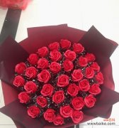 花开花谢 爱情花语