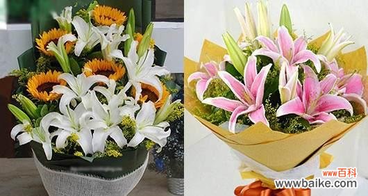 以花朵代表友谊 友谊之花的象征