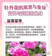 外国文化中花的寓意有哪些不同？