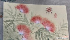 哪种花象征着爱情和思念？它们的寓意是什么？