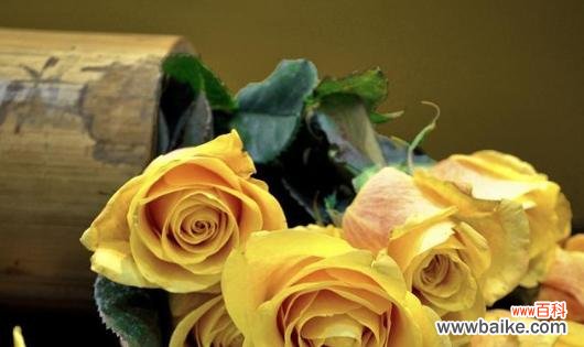 黄玫瑰传达的情感和寓意 送黄玫瑰的含义与象征