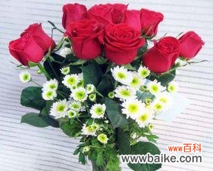 探索花语的奥秘与情感的传递 花语与情感