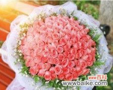 探索花语的奥秘与情感的传递 花语与情感