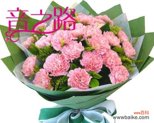 用康乃馨传达情感，男友的心意浓情蜜意 康乃馨的象征意义及男友送康乃馨的含义解读