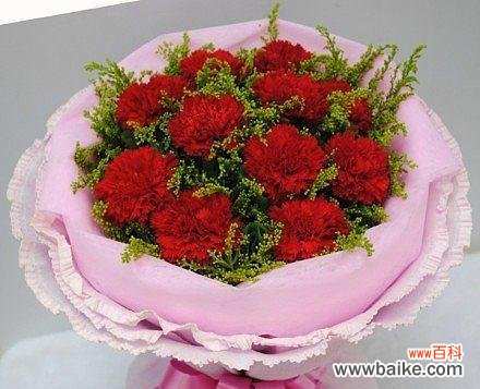 解读康乃馨花语，感受爱与尊敬的力量 康乃馨花语代表的含义及传达的情感