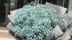 爱与思念之花——满天星的象征意义 以送满天星代表的意义