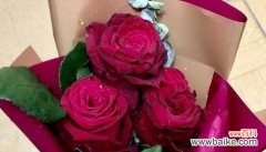 探秘送出两朵玫瑰花的深层寓意 两朵玫瑰花的意义与象征