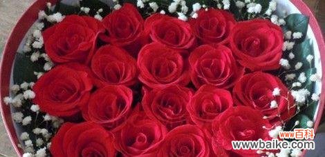 玫瑰花的朵数与情感表达 玫瑰花代表的含义及不同朵数的象征