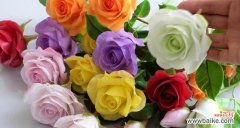 玫瑰花的朵数与情感表达 玫瑰花代表的含义及不同朵数的象征