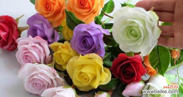 玫瑰花的朵数与情感表达 玫瑰花代表的含义及不同朵数的象征