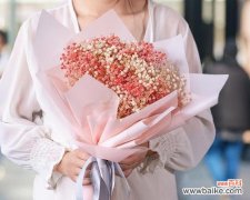 用满天星花束传递的情感与祝福 满天星花束的寓意与象征