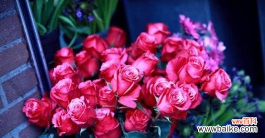 解读玫瑰花送礼的隐含含义 玫瑰花的寓意与象征意义