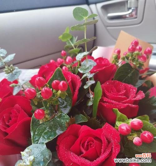 探索玫瑰花的浪漫象征与情感表达之道 玫瑰花的含义