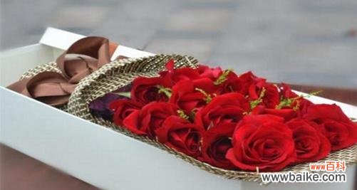 探索玫瑰花的深层含义与丰富象征 玫瑰花的寓意与象征