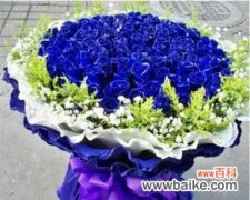 送给女朋友的蓝色妖姬，寓意深远 蓝色妖姬——代表爱情的永恒之花