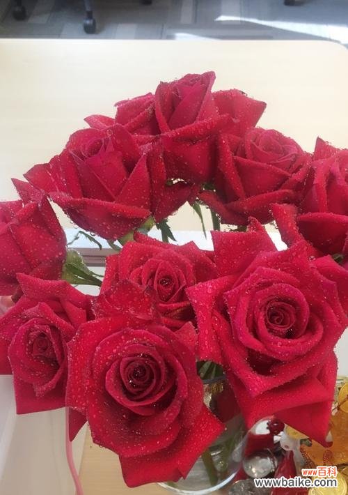 挑选鲜花,传递爱意与祝福 男友生日礼物