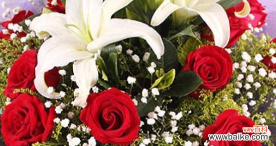 解读玫瑰花的数量与情感的对应关系 玫瑰花数量的含义与象征