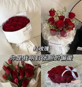 情人节送花代表什么？花束的寓意是什么？