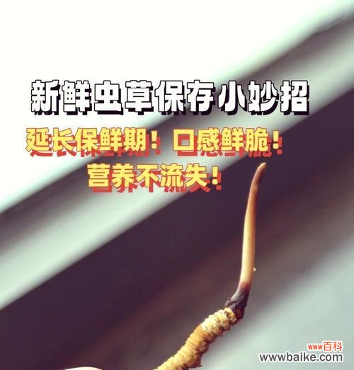 母亲节送虫草花有何深意？虫草花在母亲节的寓意是什么？