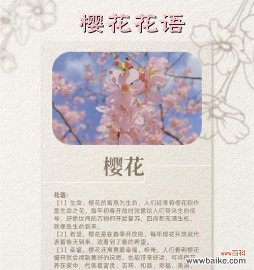 哪种花的花语是希望成功?