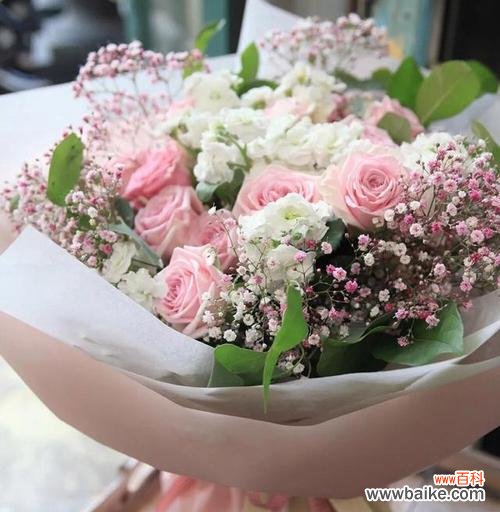 探寻粉色玫瑰的浪漫与温柔 粉色玫瑰的象征意义及用途