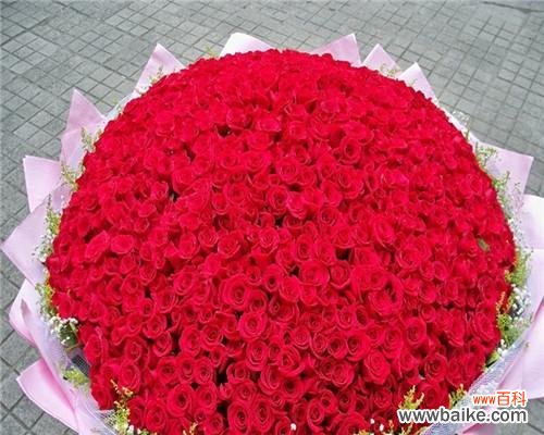 浪漫的花语和爱情的象征 三朵玫瑰花的含义