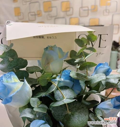 传递悠远的心意，碎冰蓝玫瑰的花语 碎冰蓝玫瑰的花语