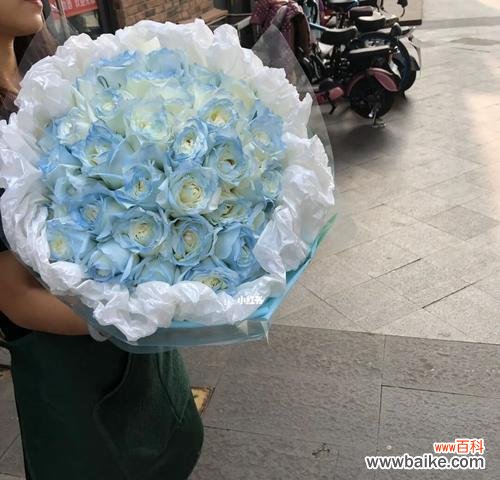 传递悠远的心意，碎冰蓝玫瑰的花语 碎冰蓝玫瑰的花语