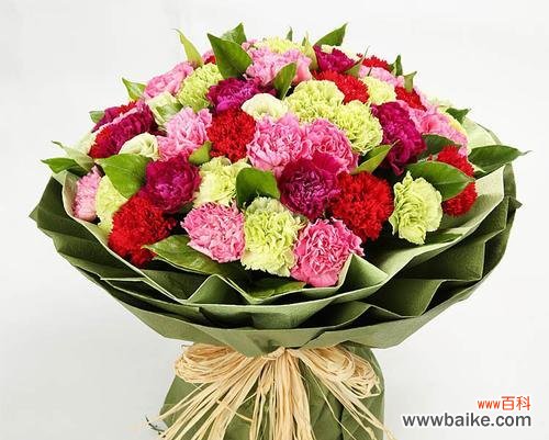 用康乃馨传递情感的深度与纯真 康乃馨