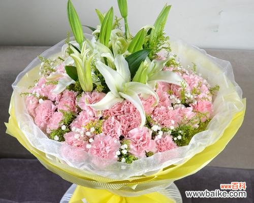 用康乃馨传递情感的深度与纯真 康乃馨