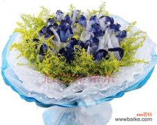 寓意深远的蓝色花朵；1个 送一支蓝玫瑰的意义