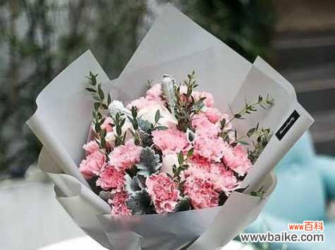 探索友谊的真谛与象征 友谊长久,花语传情