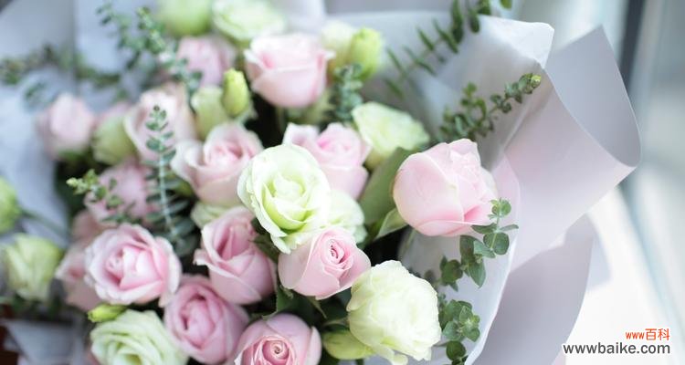 探索友谊的真谛与象征 友谊长久,花语传情