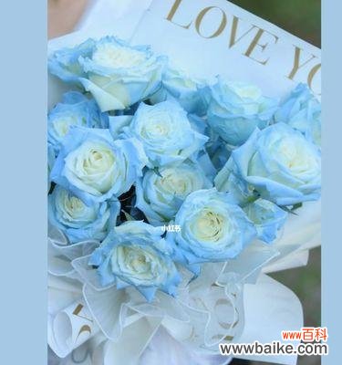 揭开碎冰蓝玫瑰的花语之谜 碎冰蓝玫瑰