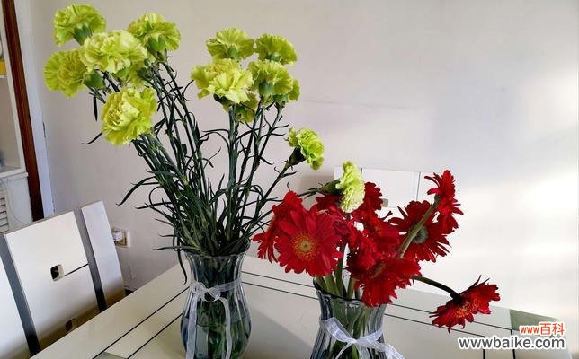 以花朵色彩为媒介 非洲菊的花语——揭示不同颜色的含义