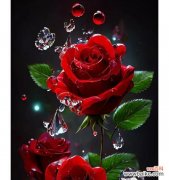 情人节送玫瑰的花语是什么？如何表达爱意？