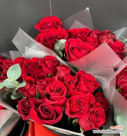 情人节送十朵玫瑰花代表什么？它们的含义是什么？