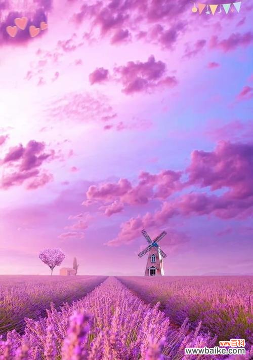 浪漫爱情的花有哪些？