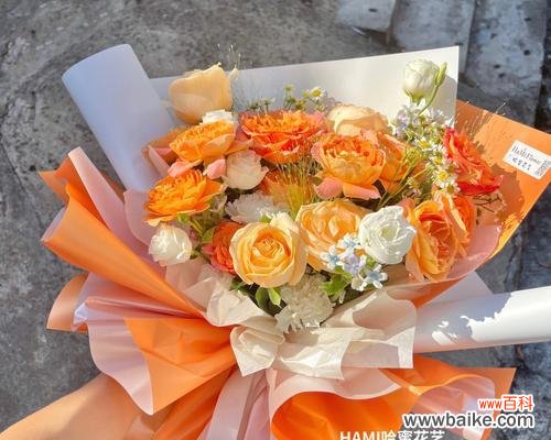 橙色玫瑰和太阳花的寓意分别是什么?