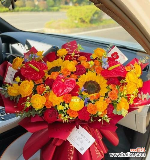 橙色玫瑰和太阳花的寓意分别是什么?