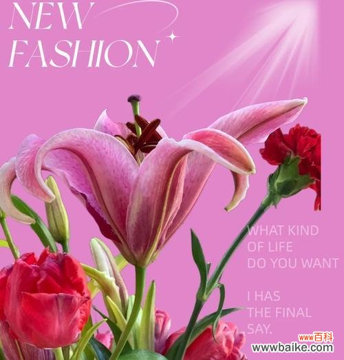 百合花象征哪个季节？百合花的季节寓意是什么？