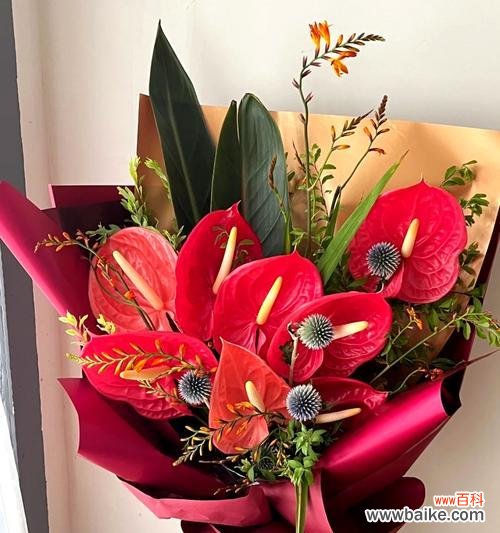 春节送花有什么寓意？春节花卉象征什么？