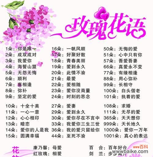 探索粉红玫瑰所传达的浪漫情感与深刻意义 粉红玫瑰花语