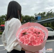 康乃馨花的粉色代表的含义 粉红色康乃馨的象征意义