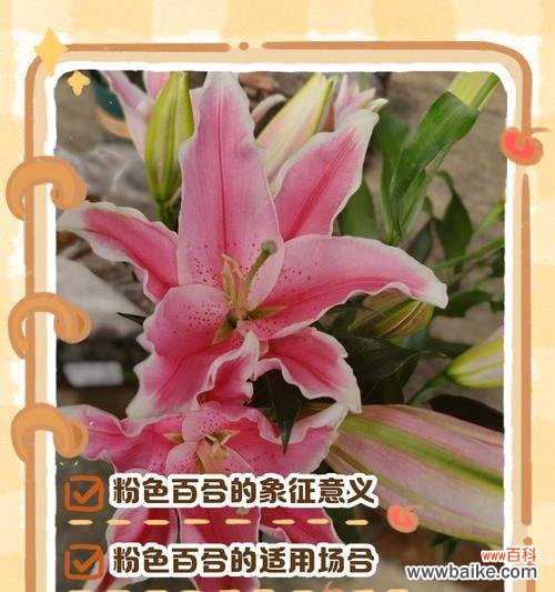 哪种花象征禁忌爱情?它的故事背景是什么?