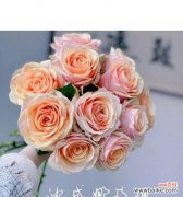 哪些花具有浪漫的意义？浪漫花语有哪些？