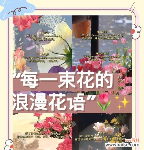 哪些花具有浪漫的意义？浪漫花语有哪些？