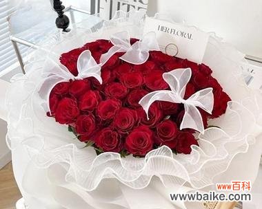 血红色玫瑰花的寓意是什么?它代表了什么?