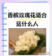 三色玫瑰花的寓意是什么？不同颜色的花语有何不同？