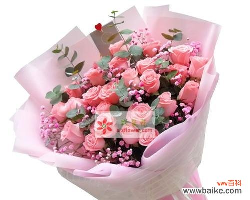 揭秘粉玫瑰的浪漫与柔美 粉玫瑰的寓意和象征意义